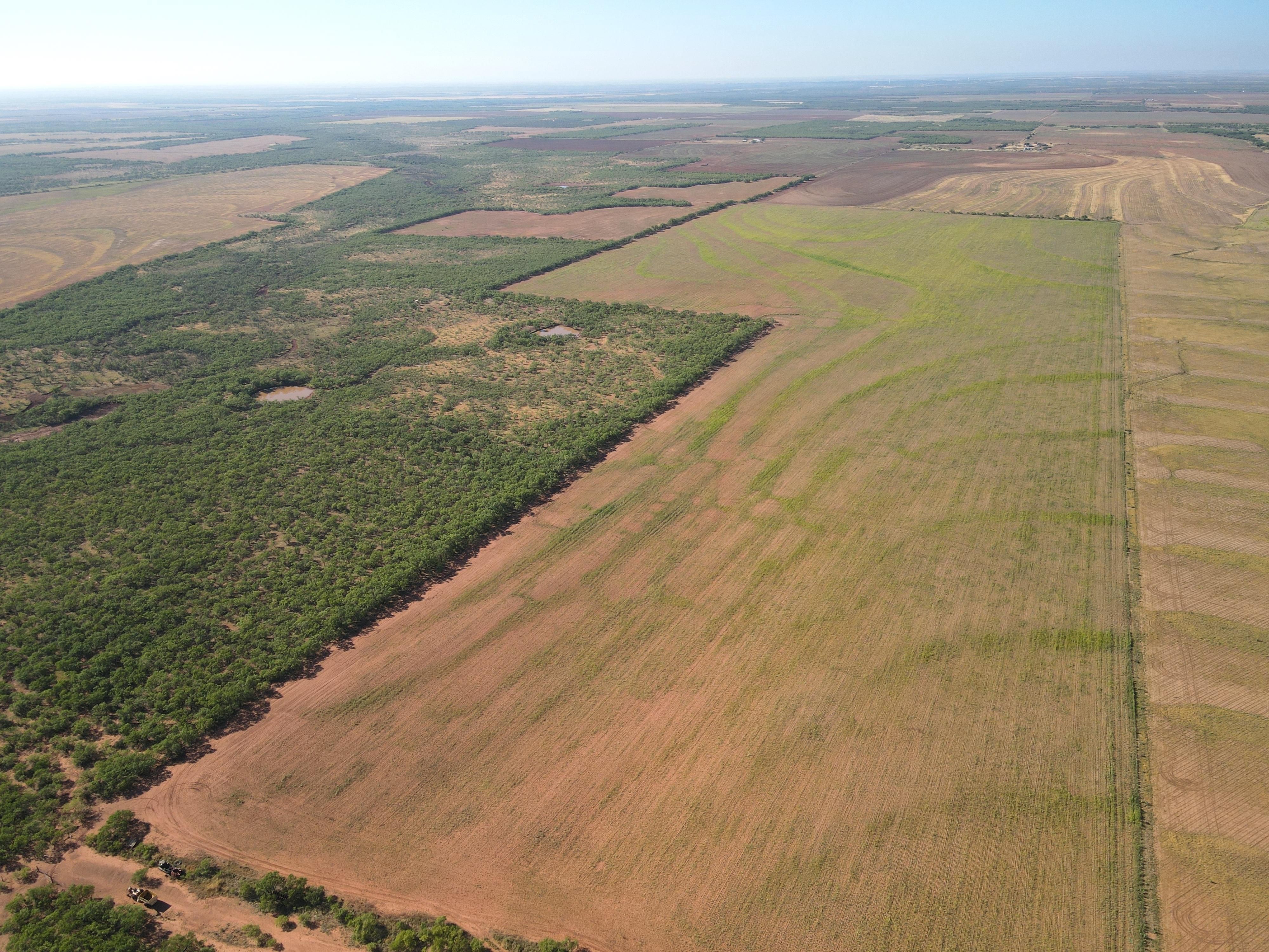 Haskell, Haskell County, TX Farms and Ranches, Hunting Property for
