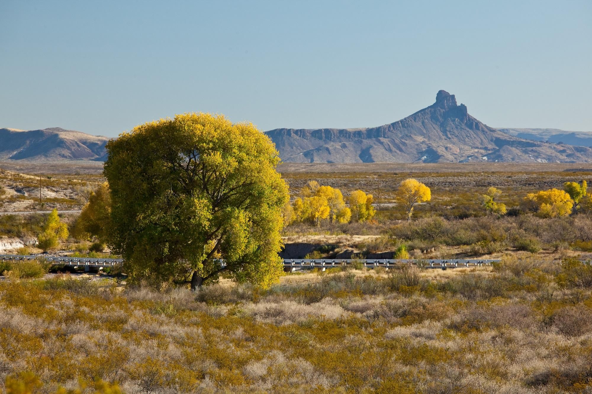 Casa Piedra Road, Marfa, TX 79843 LandWatch