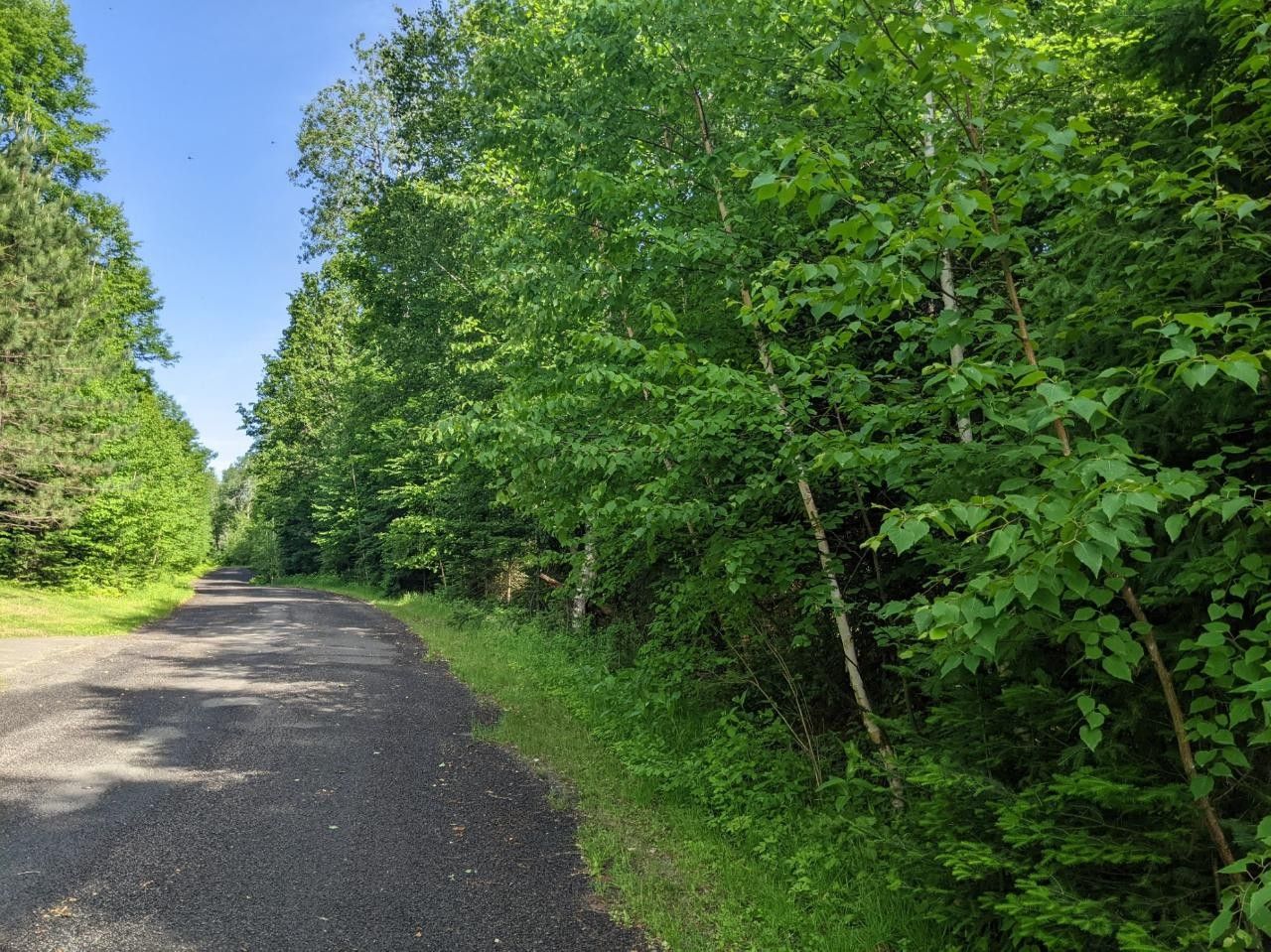 Presque Isle, Vilas County, WI Recreational Property, Undeveloped Land