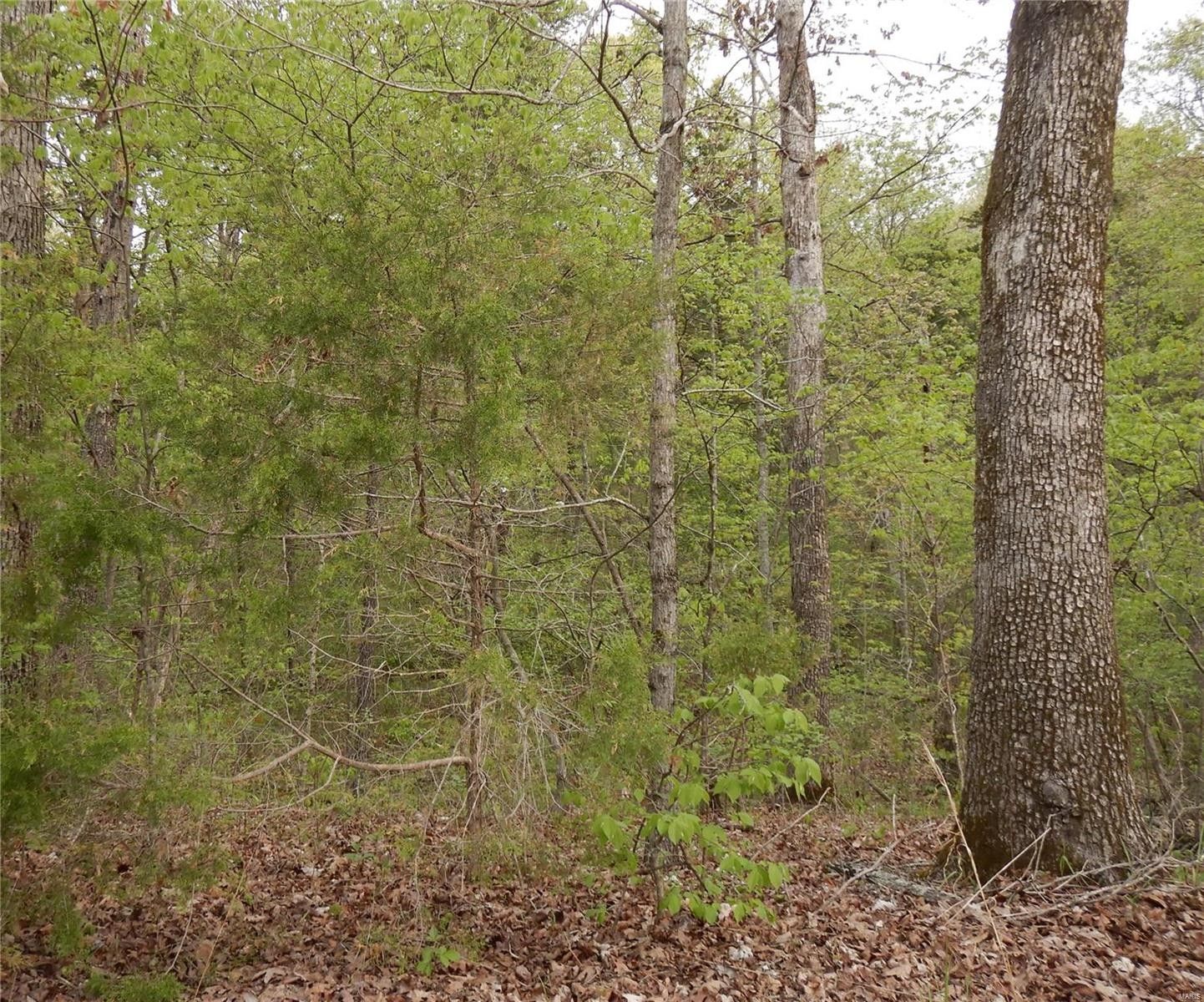 Marthasville, Warren County, MO Undeveloped Land for sale Property ID