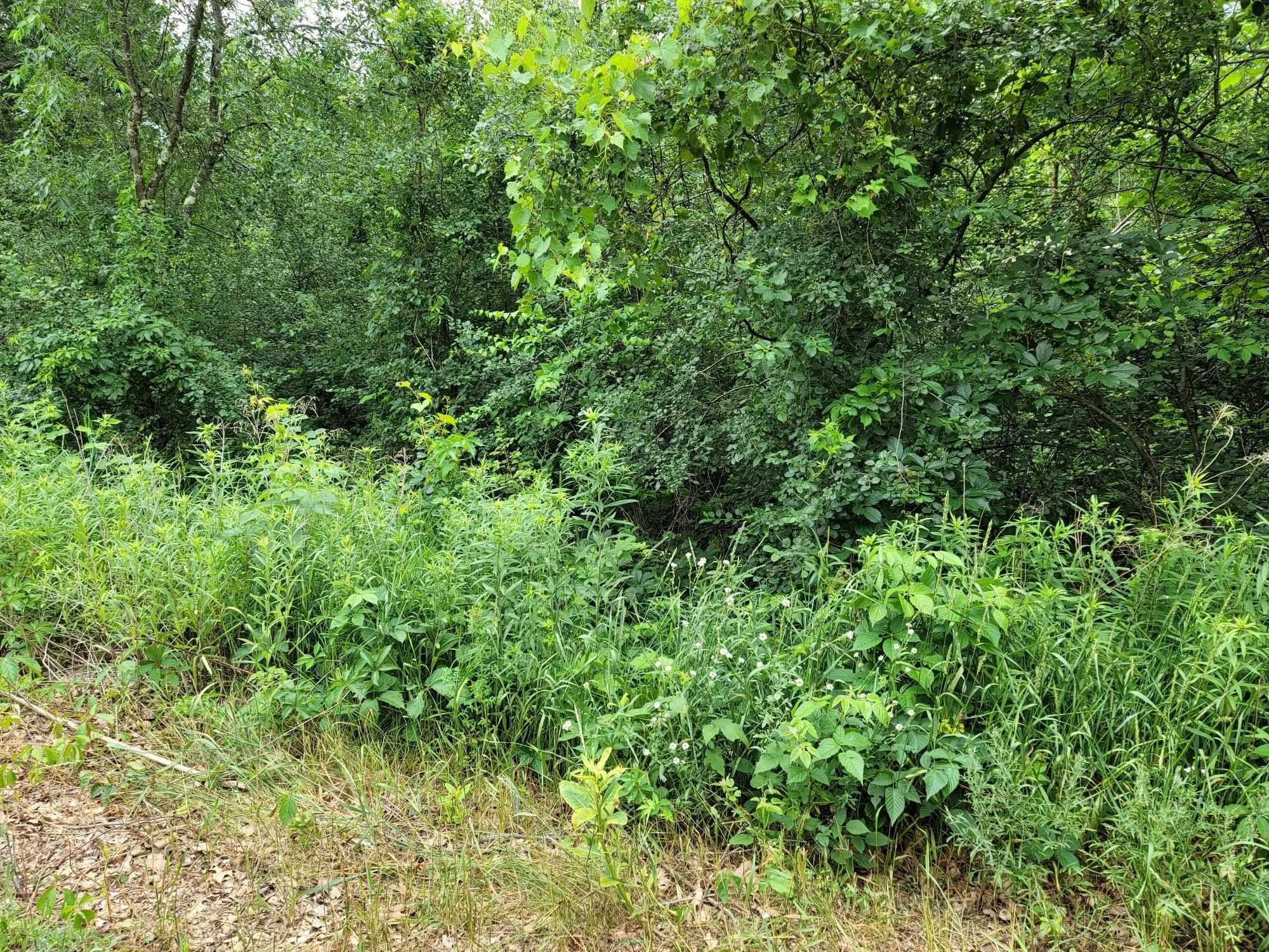 Wautoma, Waushara County, WI Farms and Ranches for sale Property ID