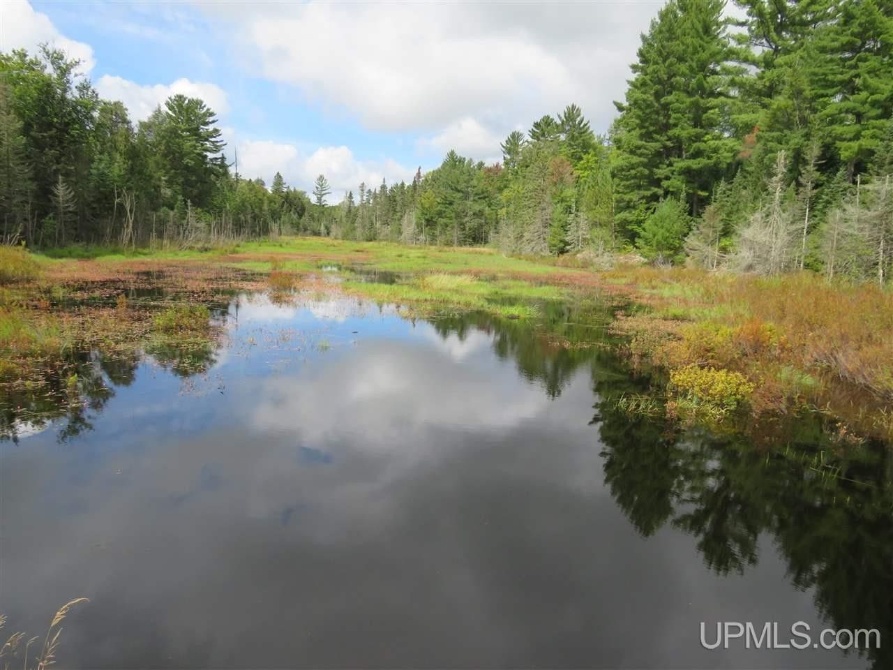 Kenton, Iron County, MI Undeveloped Land, Lakefront Property