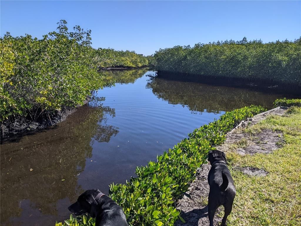 Bradenton, Manatee County, FL Lakefront Property, Waterfront Property