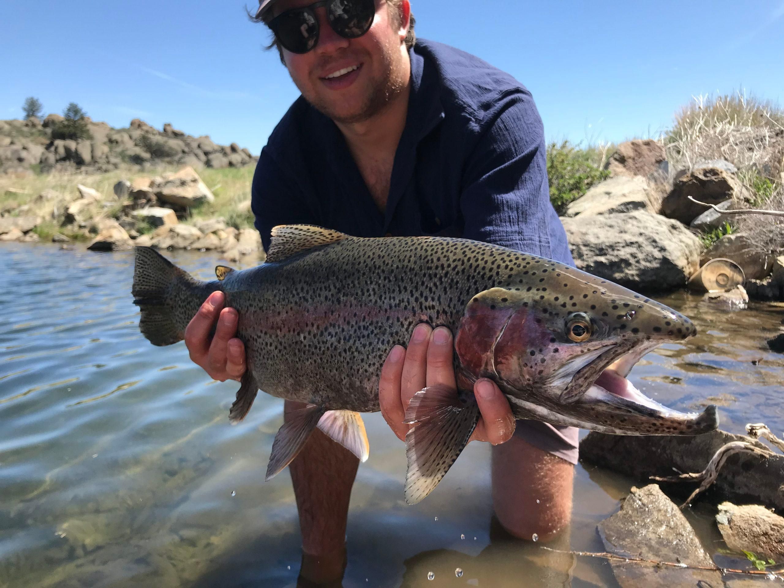 Wheatland, Albany County, WY Farms and Ranches, Recreational Property, Hunting Property, House