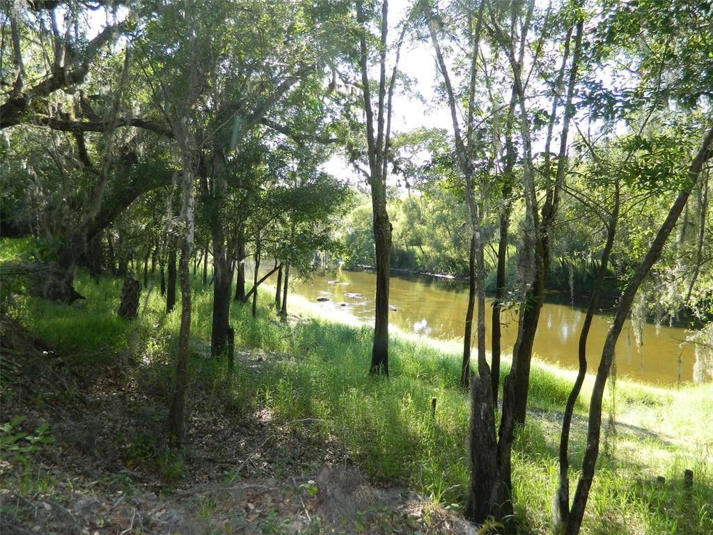 Arcadia, DeSoto County, FL Farms and Ranches, Lakefront Property