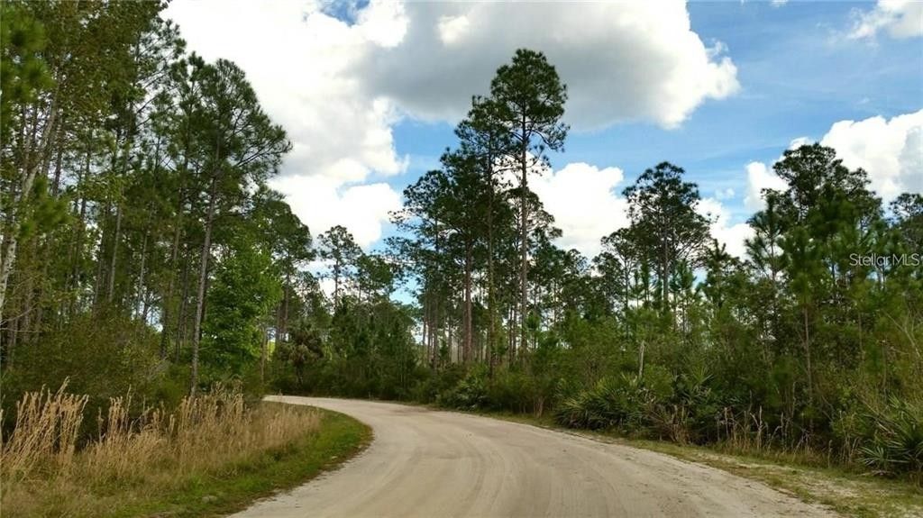 Deltona, Volusia County, FL Farms and Ranches for sale Property ID