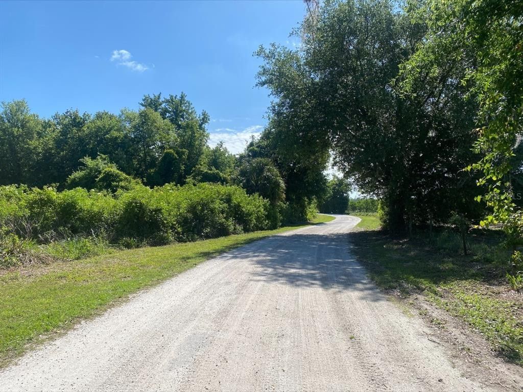 De Leon Springs, Volusia County, FL Undeveloped Land, Homesites for