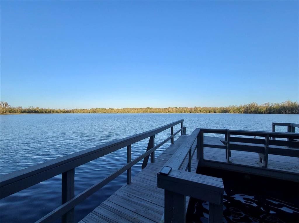 Earleton, Alachua County, FL Undeveloped Land, Lakefront Property, Waterfront Property for sale