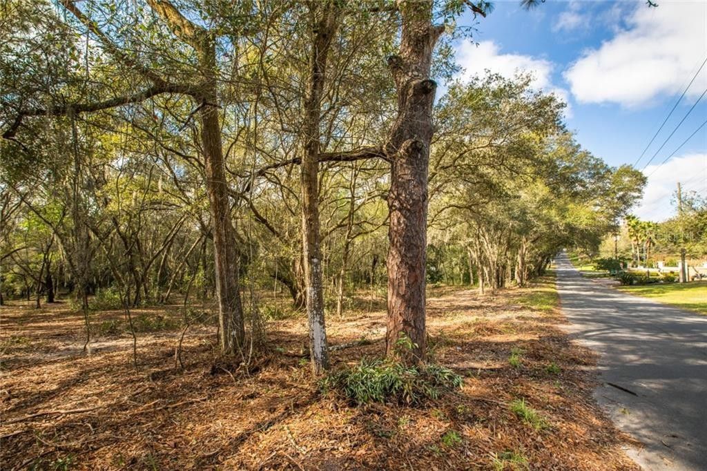 Mount Dora, Lake County, FL Farms and Ranches for sale Property ID