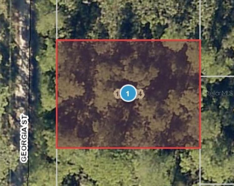 Paisley, Lake County, FL Farms and Ranches, Homesites for sale Property ID 414070162 LandWatch