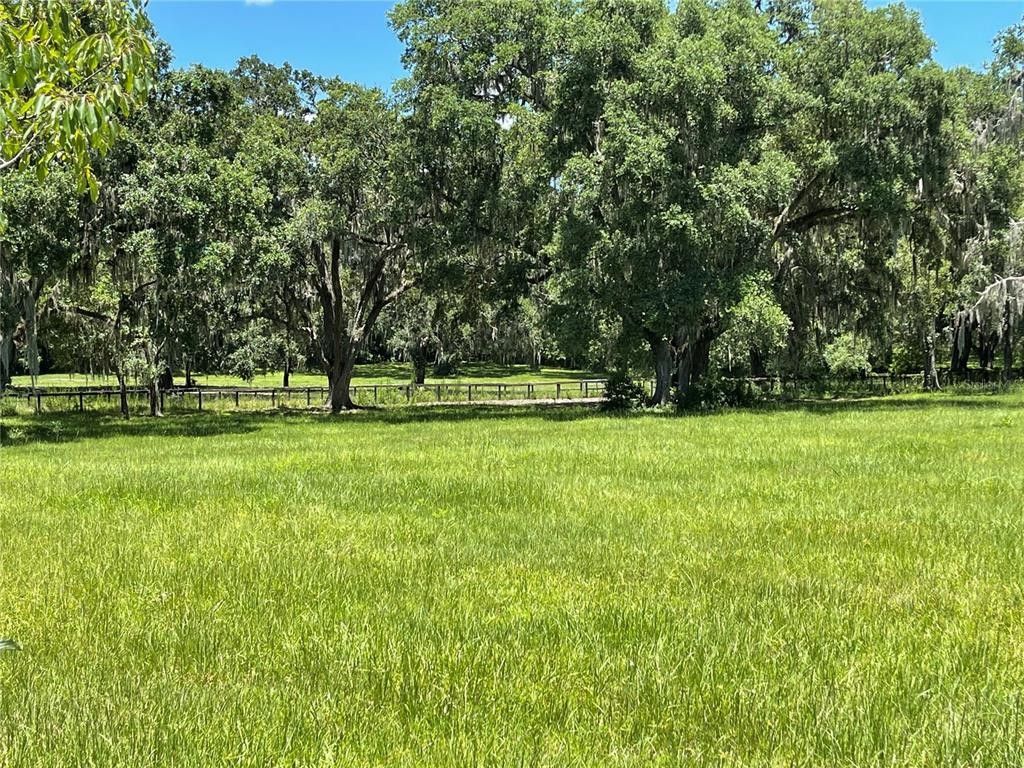 Ocala, Marion County, FL Farms and Ranches for sale Property ID
