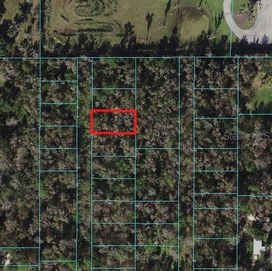 Belleview, Marion County, FL Undeveloped Land, Homesites for sale