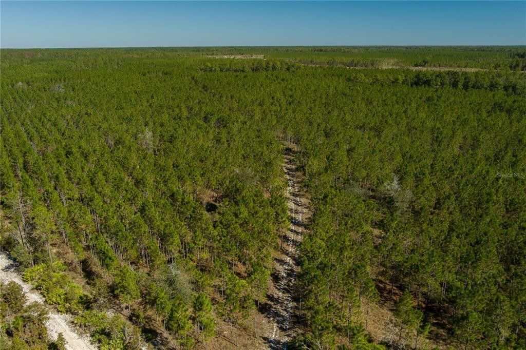 Bryceville, Nassau County, FL Undeveloped Land for sale Property ID 412307255 LandWatch