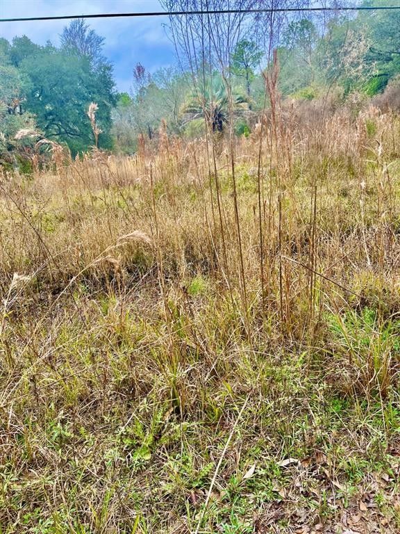 Gainesville, Alachua County, FL Farms and Ranches for sale Property ID