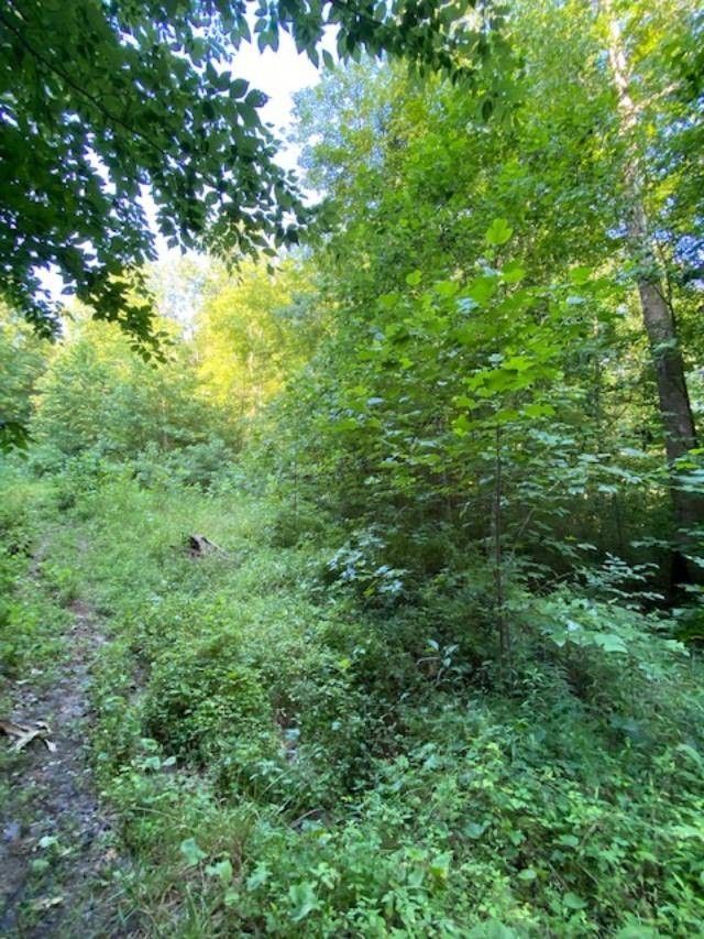 Blaine, Lawrence County, KY Undeveloped Land for sale Property ID 414216241 LandWatch
