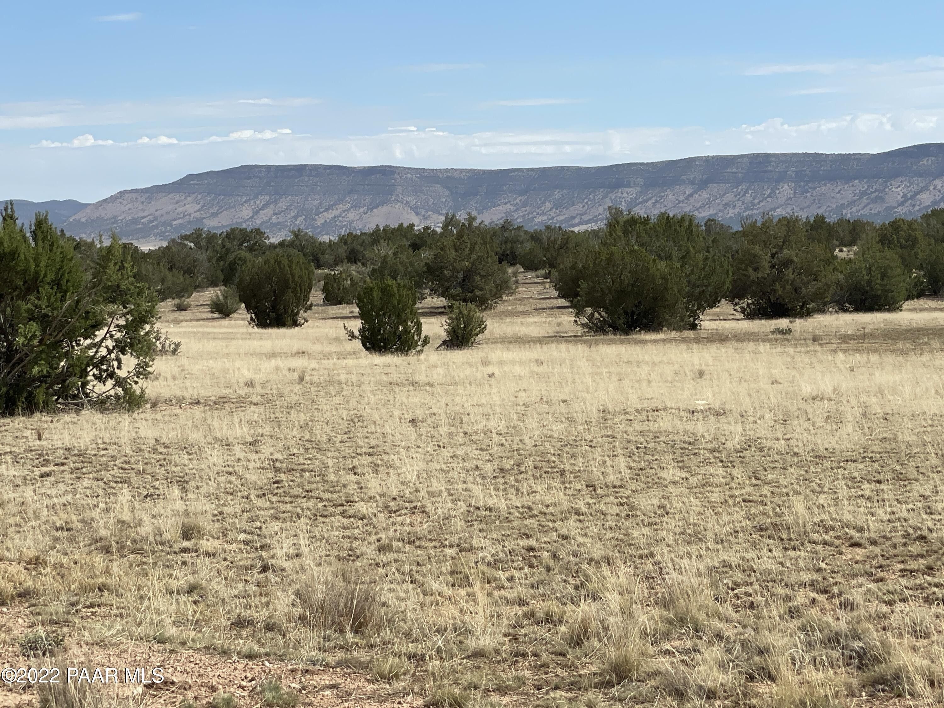Seligman, Yavapai County, AZ Undeveloped Land, Homesites for sale