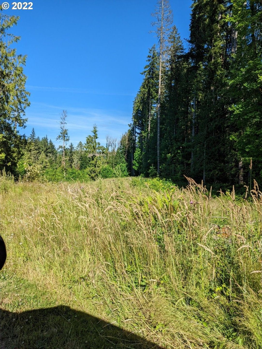 Vernonia, Columbia County, OR Undeveloped Land, Lakefront Property