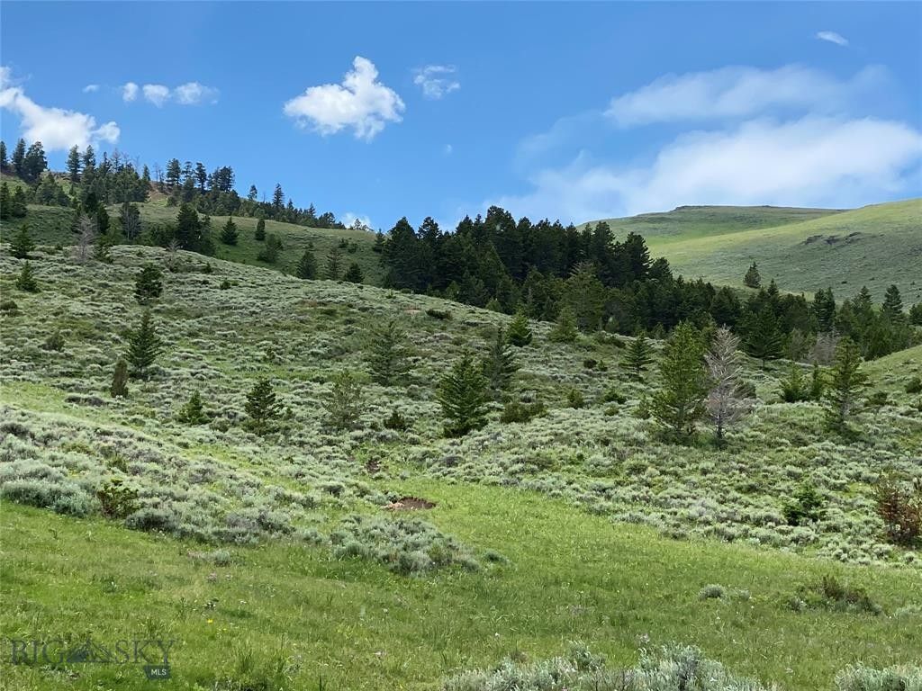 Ennis, Madison County, MT Undeveloped Land for sale Property ID