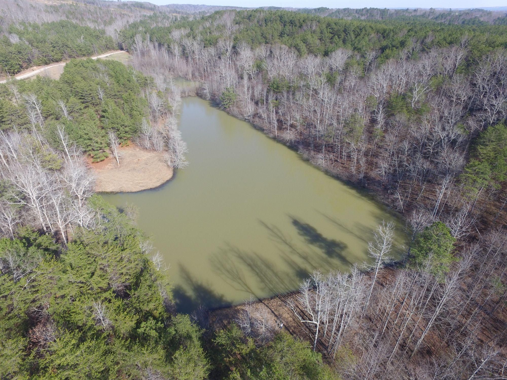 Oneonta, Blount County, AL Farms and Ranches, Horse Property, Lakefront Property, Waterfront