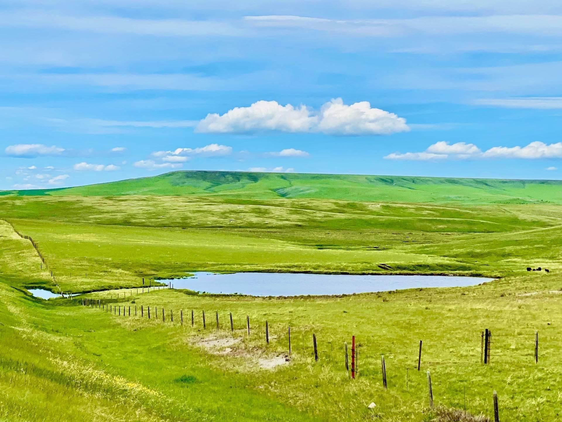 Saint Mary, Glacier County, MT Farms and Ranches, Horse Property for