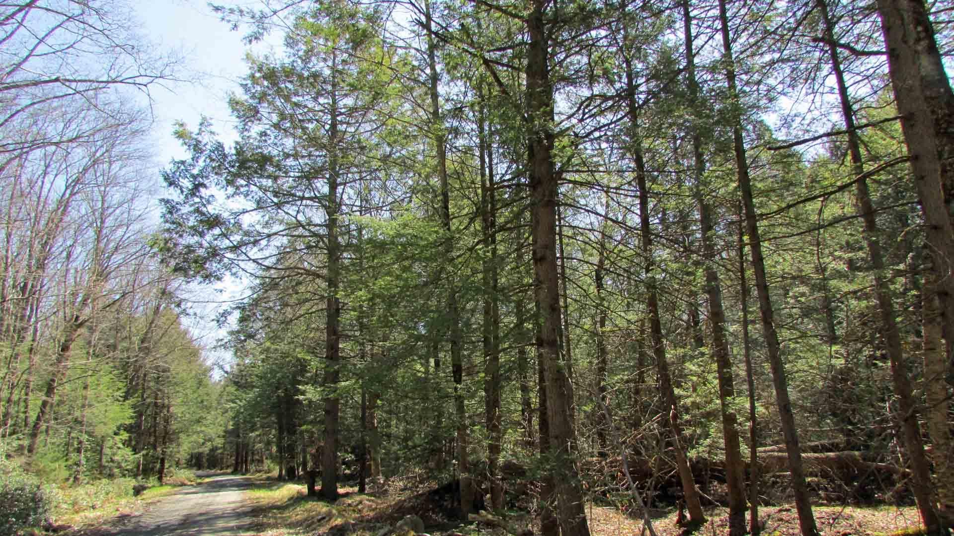 Ellenville, Ulster County, NY Recreational Property, Undeveloped Land