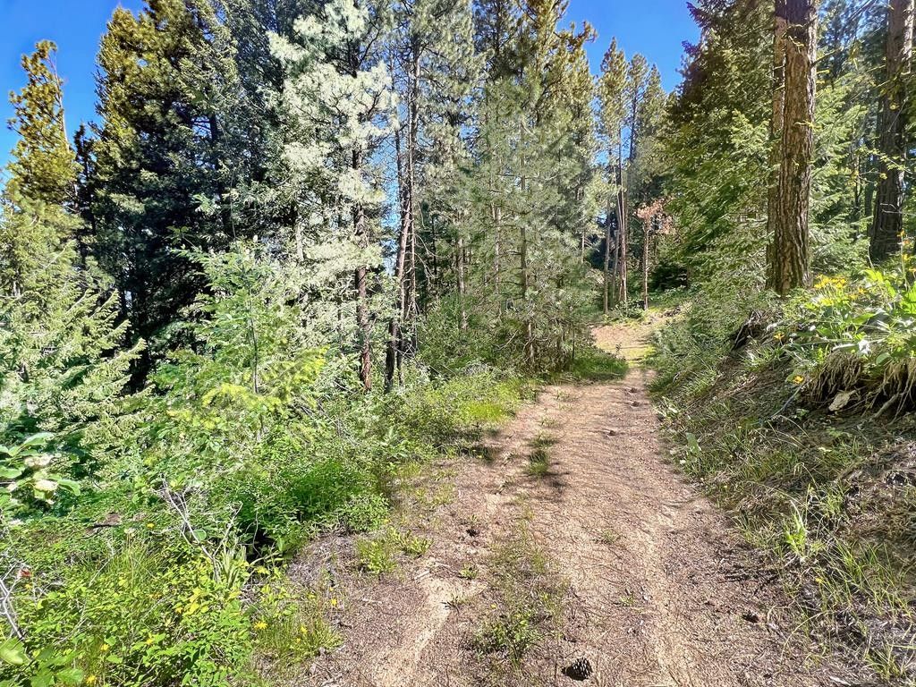 Cascade, Valley County, ID Undeveloped Land, Homesites for sale