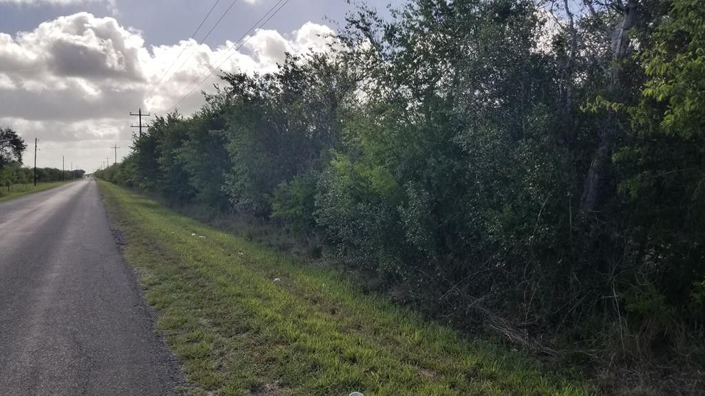 Skidmore, Bee County, TX Farms and Ranches for sale Property ID