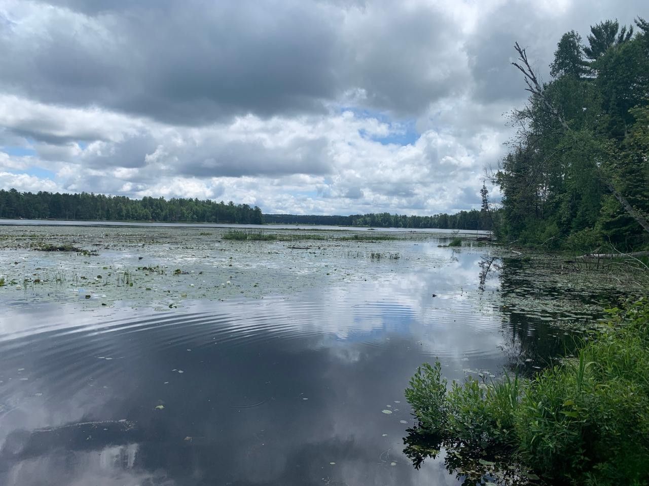 Conover, Vilas County, WI Undeveloped Land, Lakefront Property