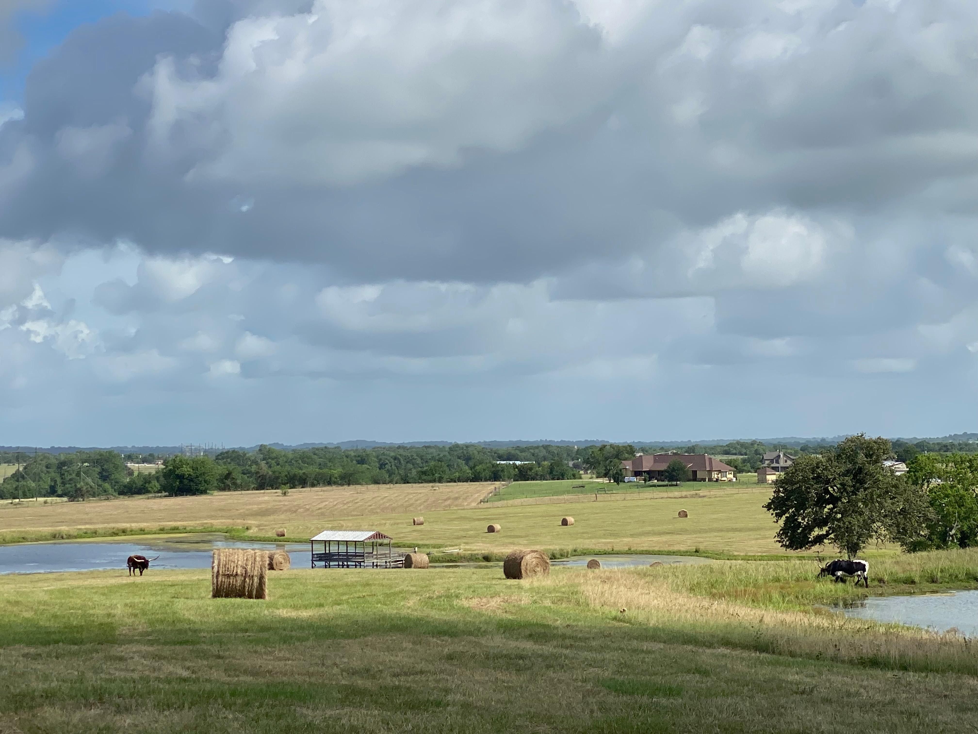Navasota, Grimes County, TX Farms and Ranches, Horse Property, House