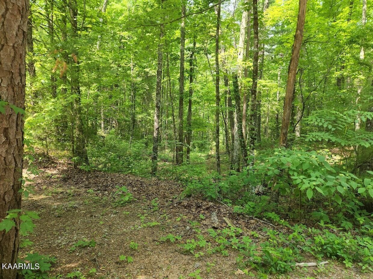 Walland, Blount County, TN Undeveloped Land for sale Property ID 413004953 LandWatch