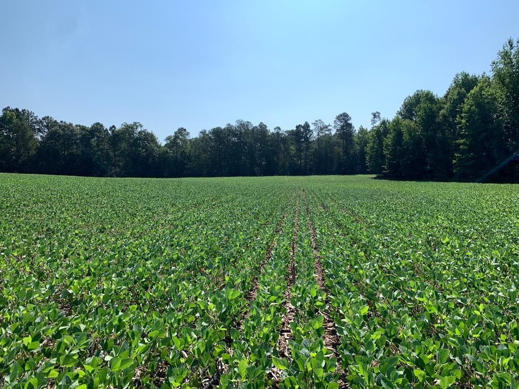 Hollow Rock, Carroll County, TN Undeveloped Land for sale Property ID