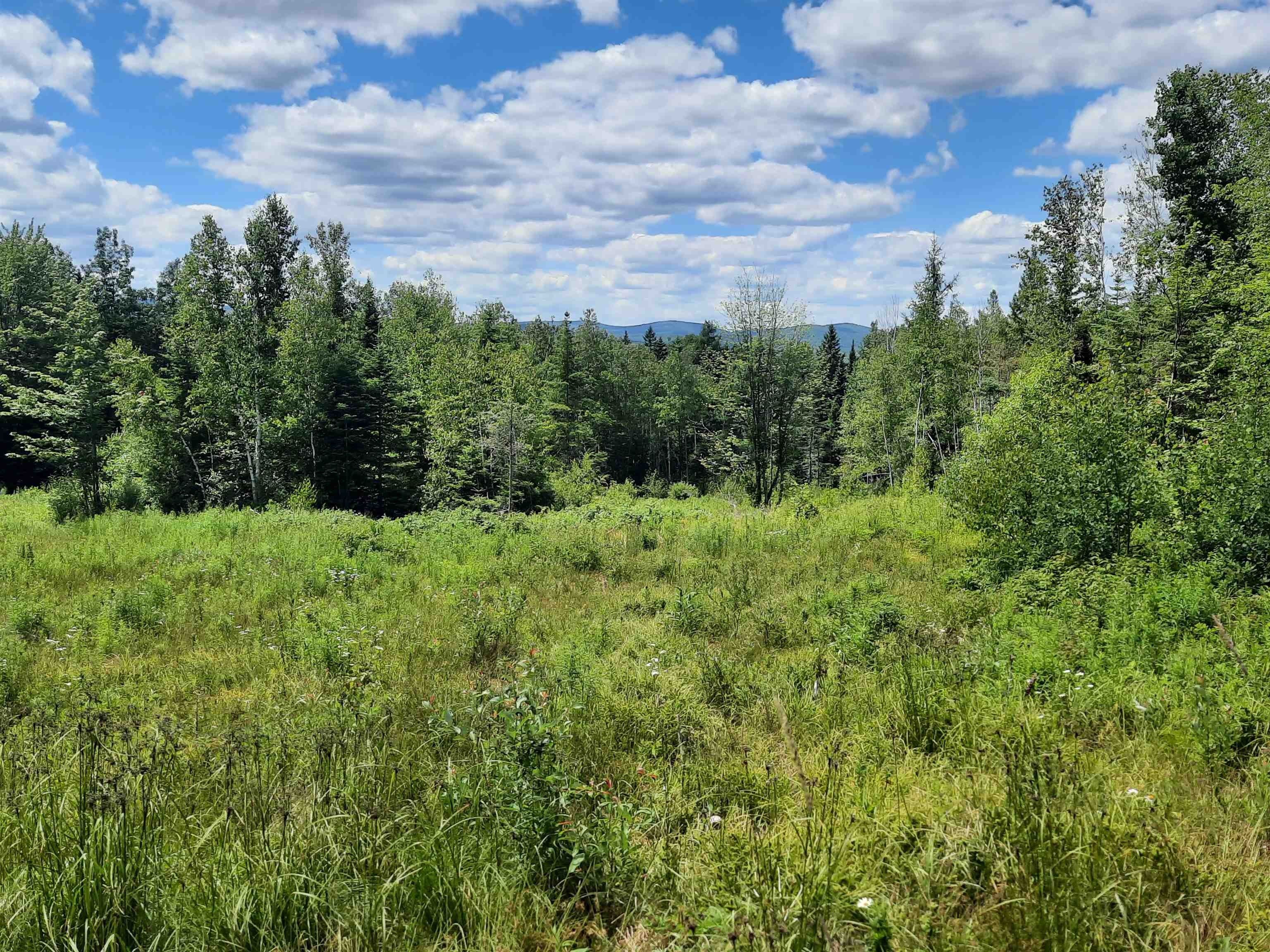 Stewartstown, Coos County, NH Undeveloped Land for sale Property ID