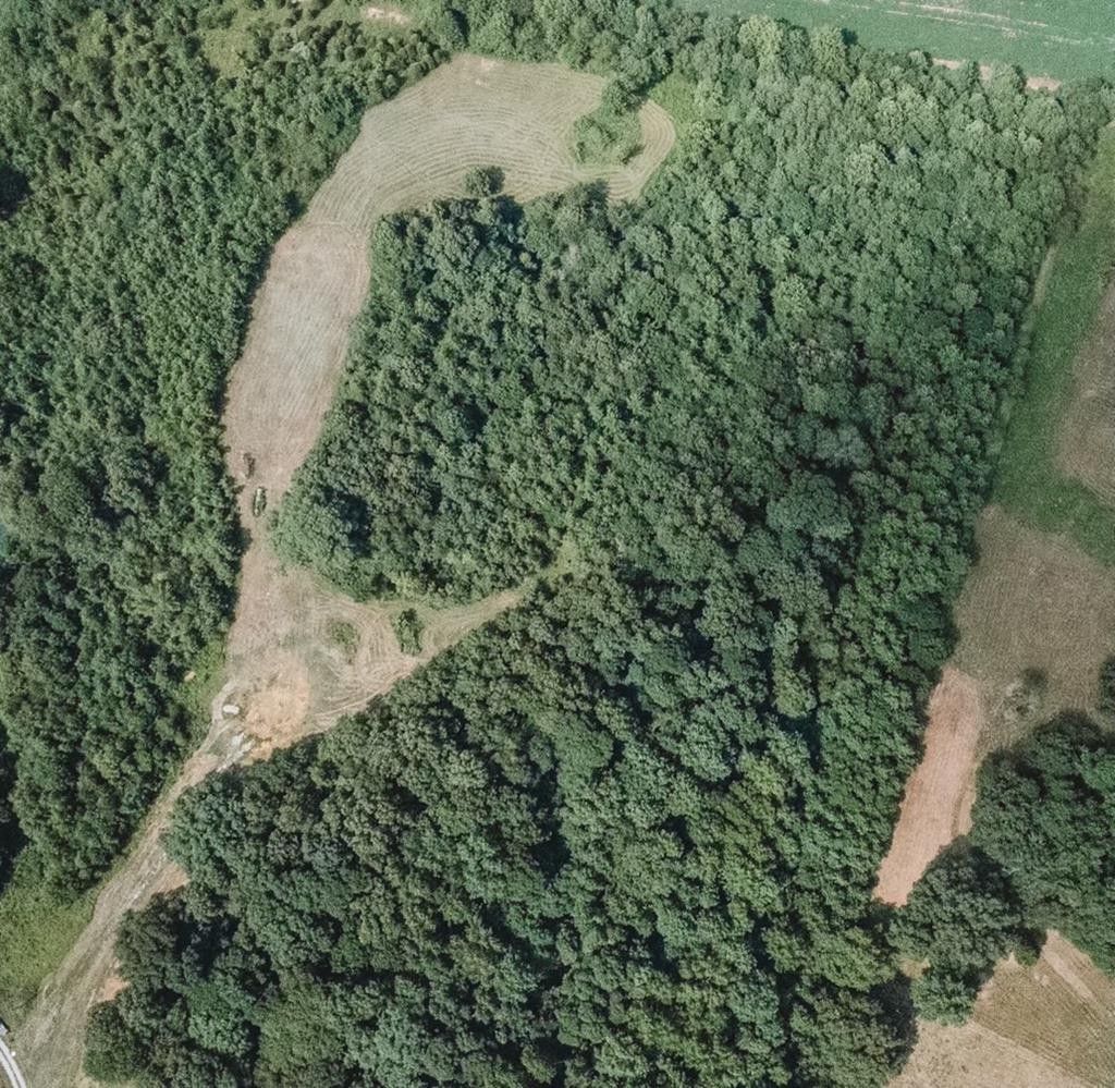 Utica, Ohio County, KY Farms and Ranches for sale Property ID