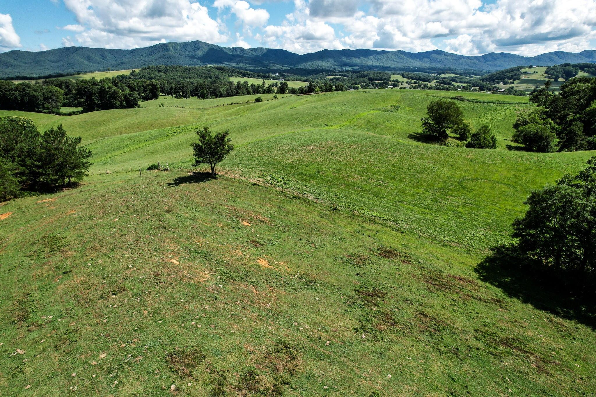 Greeneville, Greene County, TN Undeveloped Land for sale Property ID