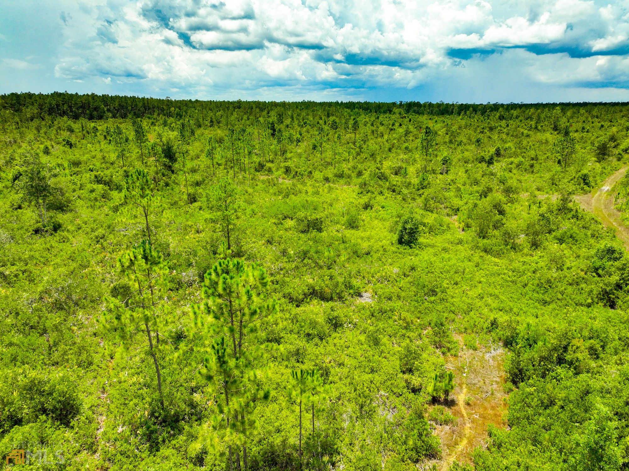 Nahunta, Brantley County, GA Undeveloped Land for sale Property ID