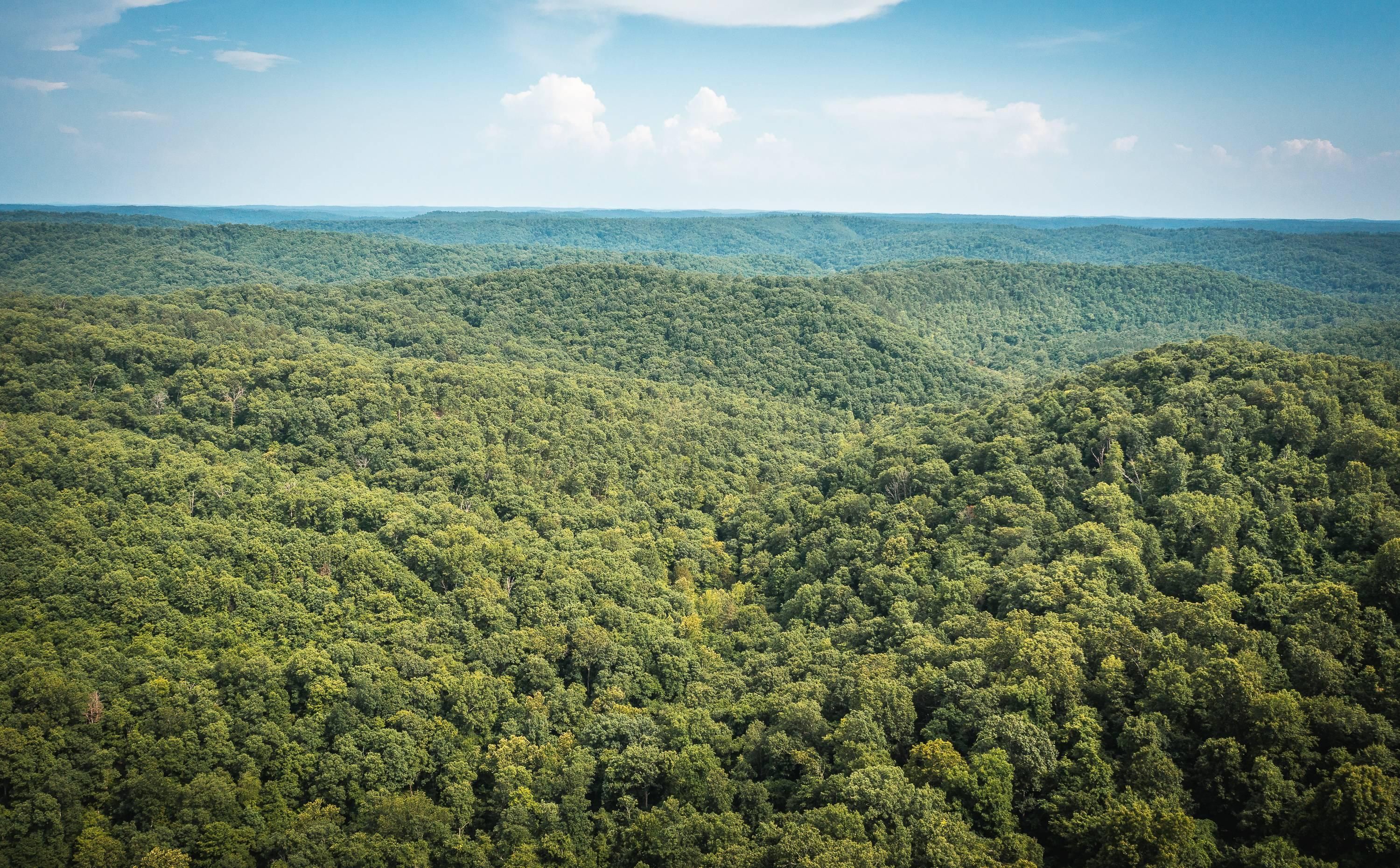 Bunker, Reynolds County, MO Farms and Ranches, Hunting Property for