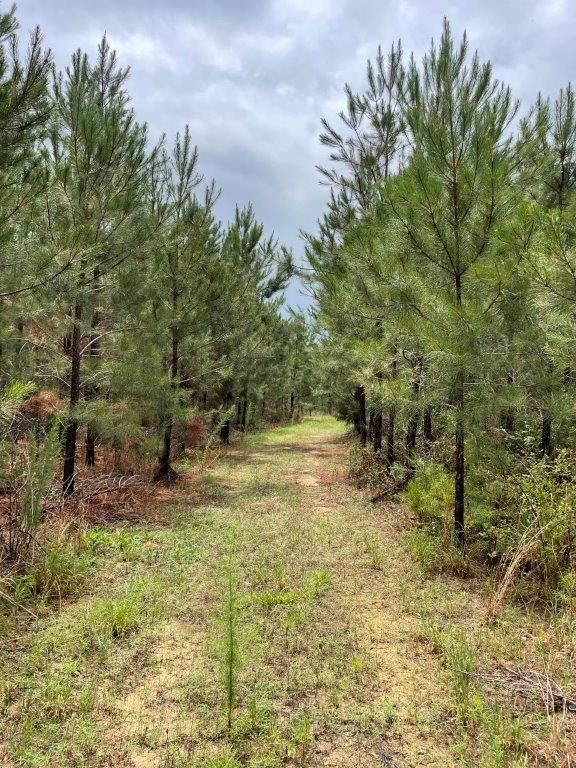 Crawfordville, Taliaferro County, GA Recreational Property, Hunting Property for sale Property