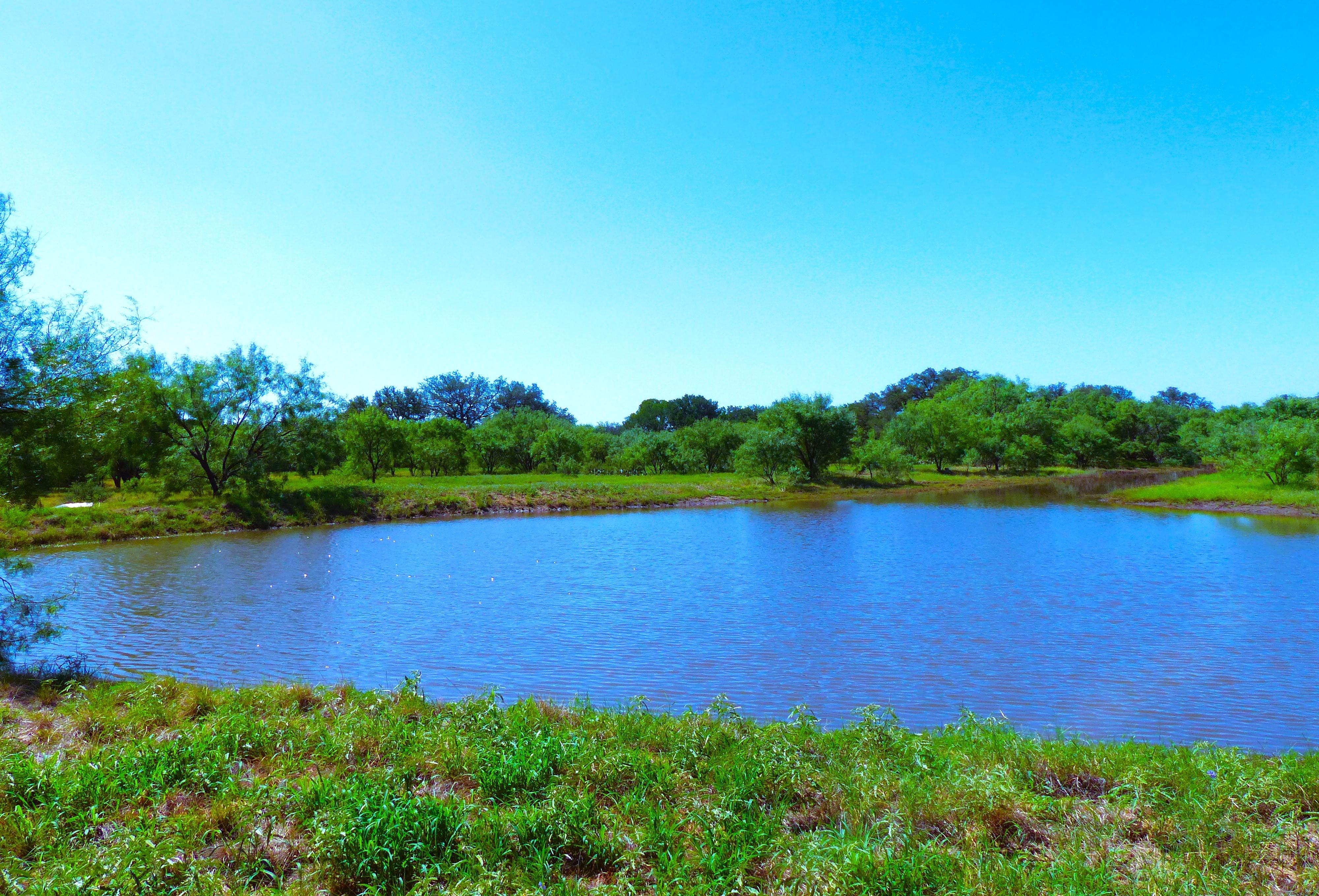 Rochelle, McCulloch County, TX Farms and Ranches, Hunting Property, House for sale Property ID