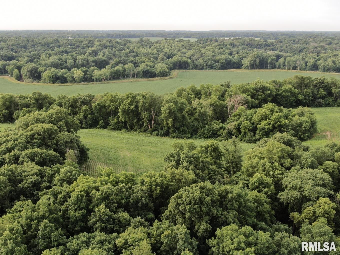 Ipava, Fulton County, IL Recreational Property, Hunting Property for