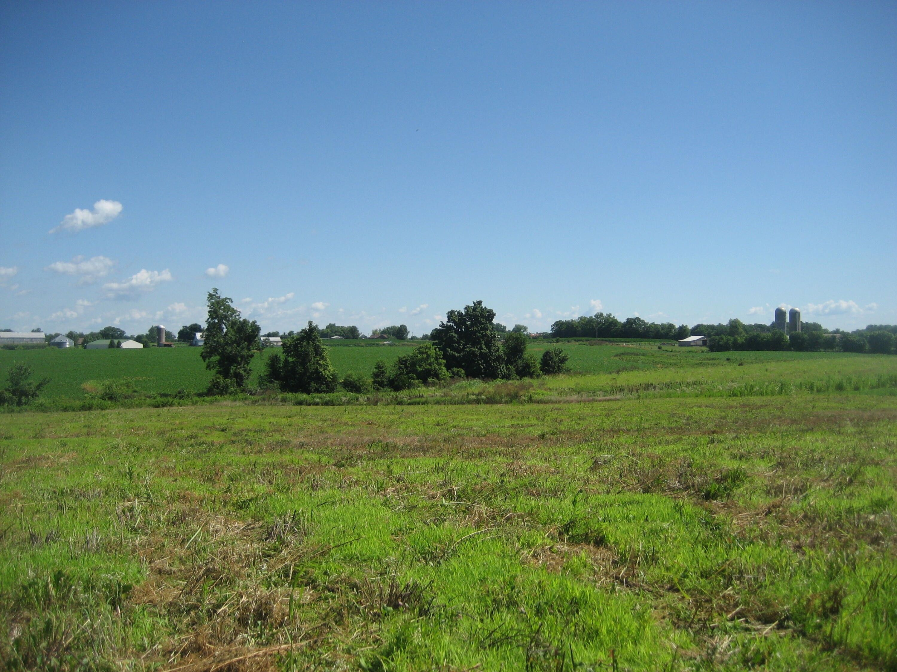 Bagdad, Shelby County, KY Farms and Ranches for sale Property ID