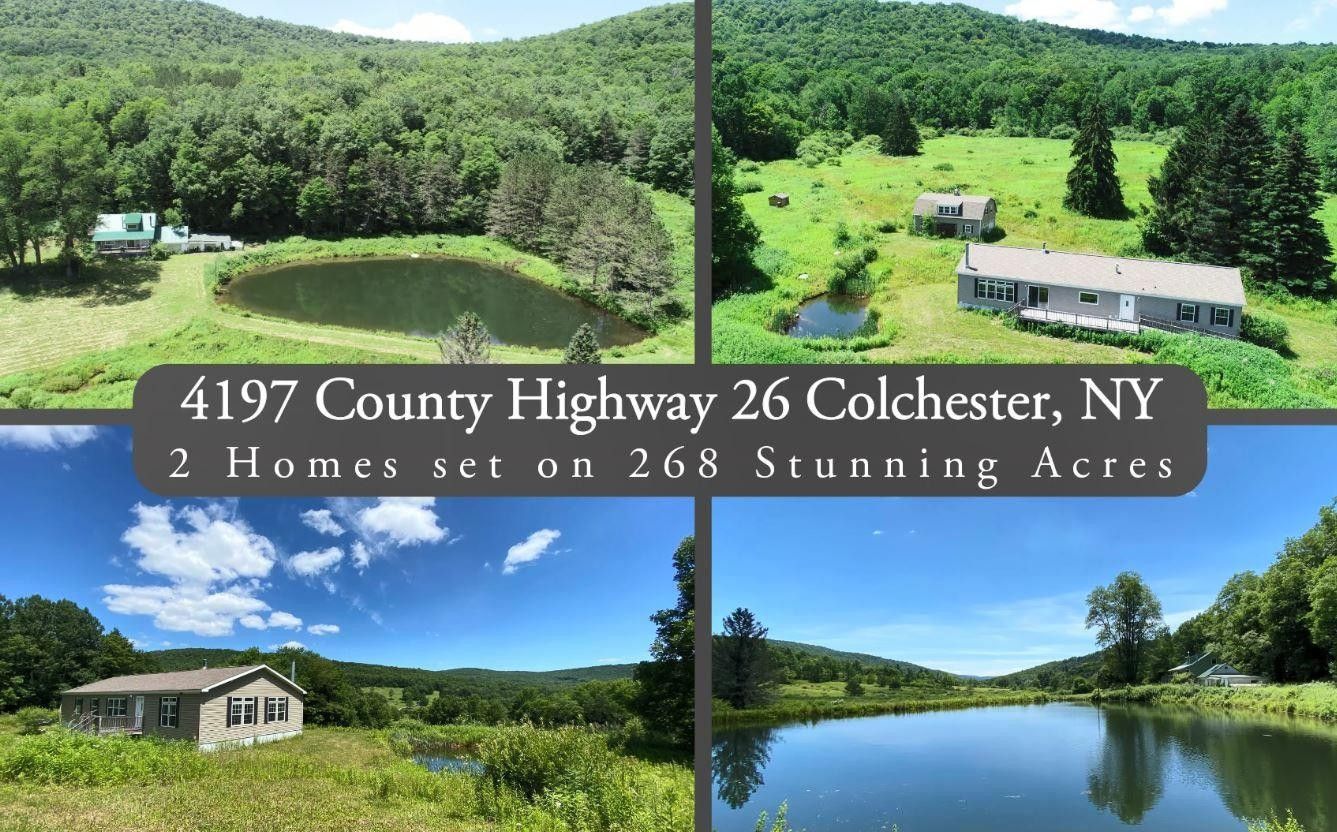 Colchester, Delaware County, NY House for sale Property ID 414234055