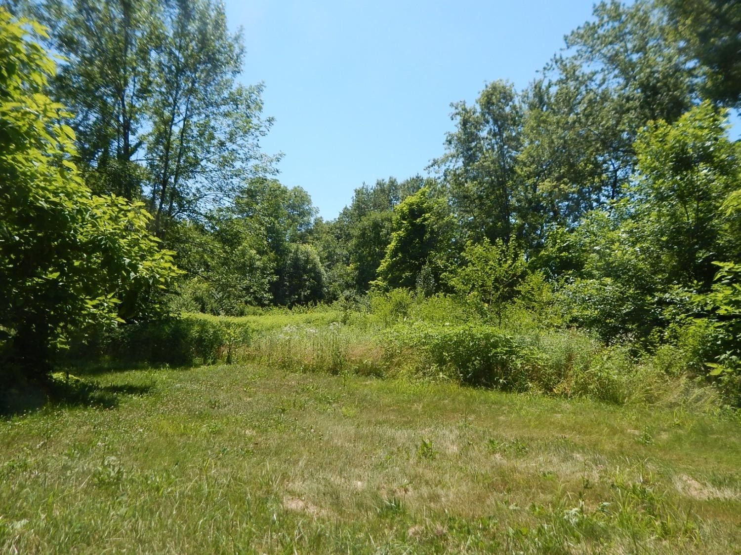 Midland, Clinton County, OH Undeveloped Land, Homesites for sale