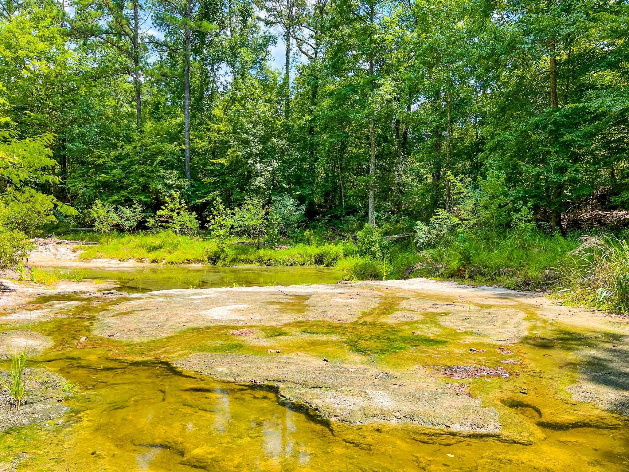 Josserand, Trinity County, TX Recreational Property, Timberland Property, Hunting Property for