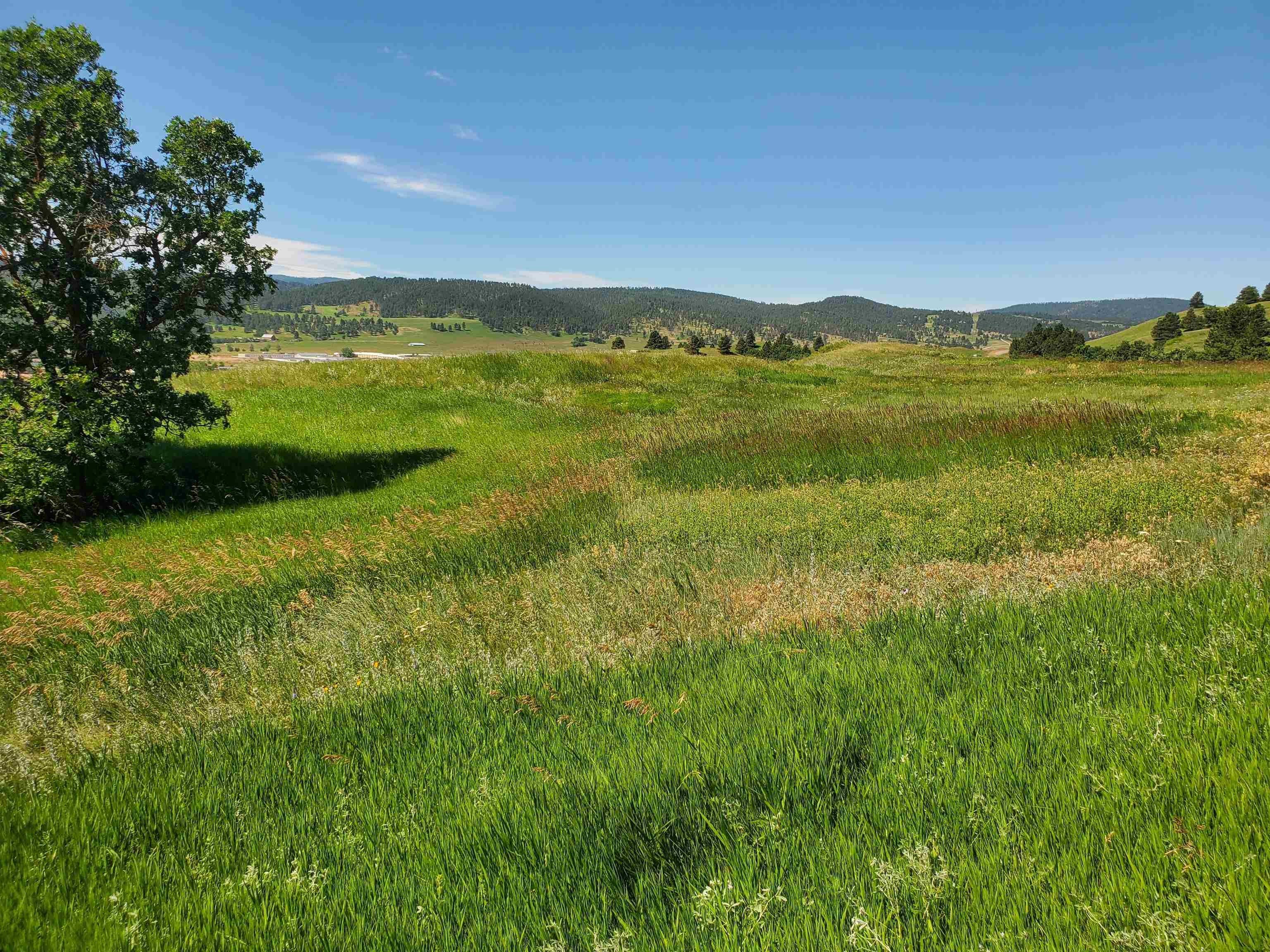 Sturgis, Meade County, SD Undeveloped Land for sale Property ID 414238186 LandWatch