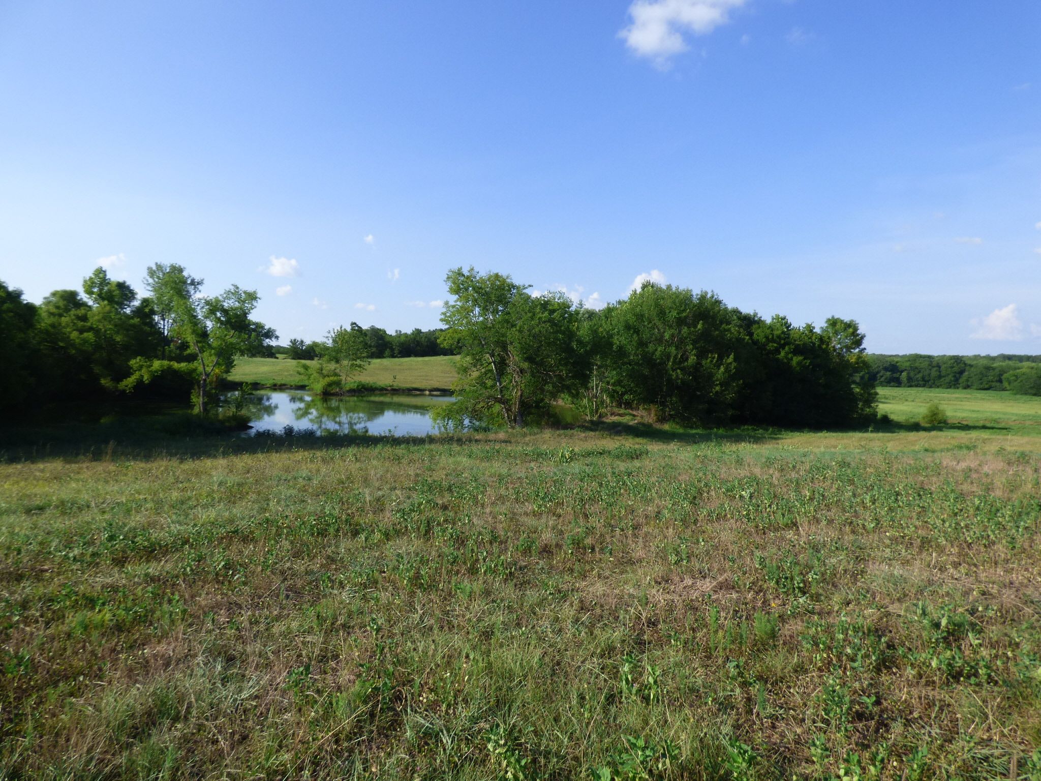 Crawford, Lowndes County, MS Undeveloped Land for sale Property ID