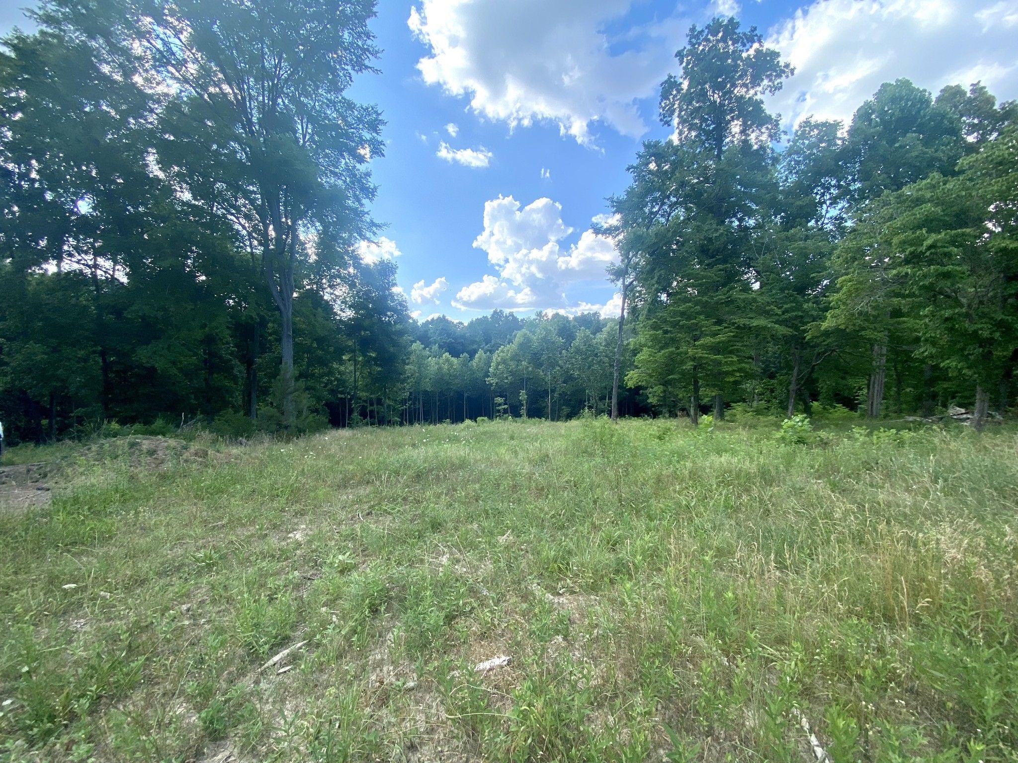 clarksville-montgomery-county-tn-undeveloped-land-for-sale-property