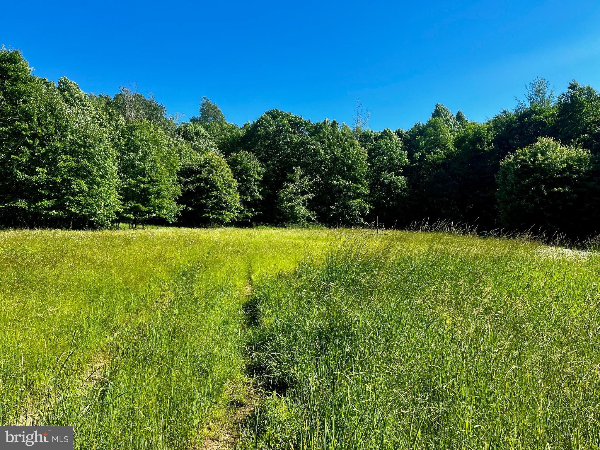 Titusville, Crawford County, PA Undeveloped Land for sale Property ID