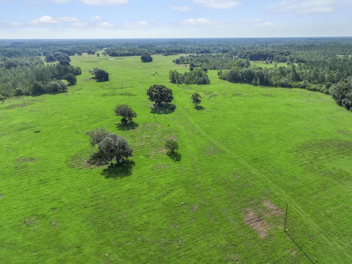 Madison, Madison County, FL Undeveloped Land, Lakefront Property
