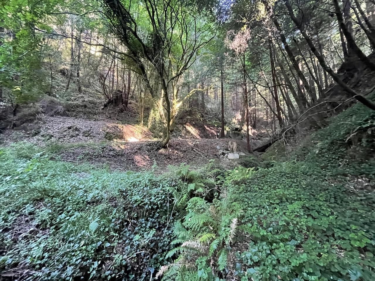 Pescadero, San Mateo County, CA Farms and Ranches, Homesites for sale Property ID 414242636