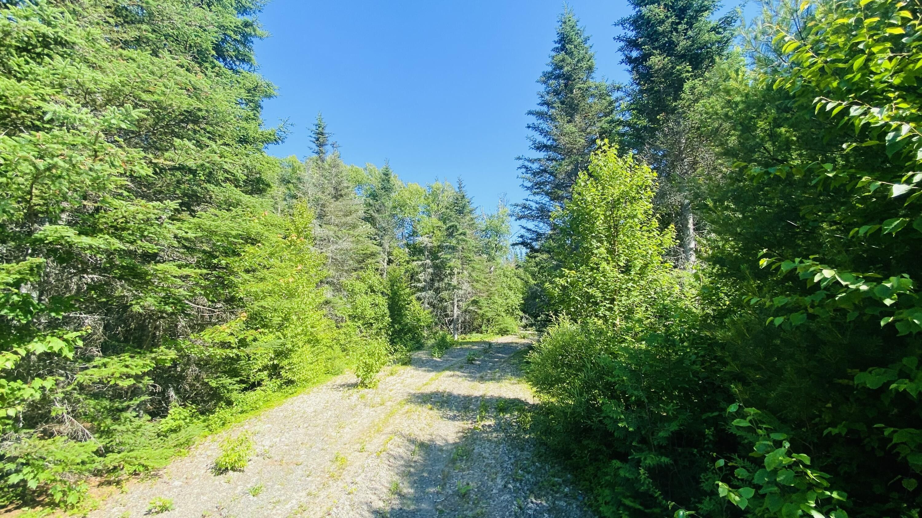 Whiting, Washington County, ME Undeveloped Land for sale Property ID